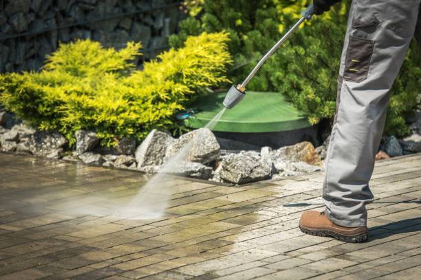 Best Fence Cleaning  in Camden, NJ