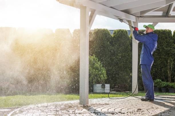Best Driveway Pressure Washing  in Camden, NJ