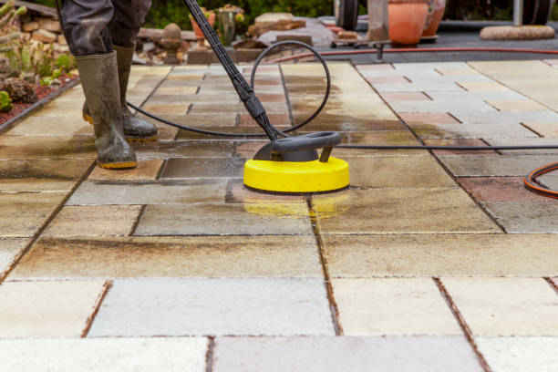 Best Sidewalk and Walkway Cleaning  in Camden, NJ